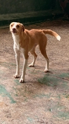 NATY Image 4